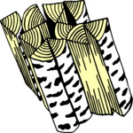 Firewood