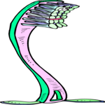 Toothbrush 22