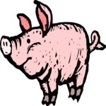 Pig 28