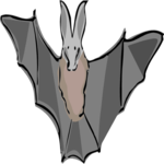 Bat 13