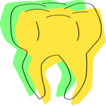 Tooth 23