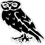 Owl 4