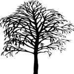 Tree 025