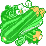 Zucchini 3