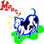 Cow - MOOOO!