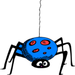 Spider 17