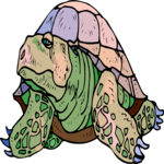 Tortoise 6