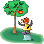 Magpie Picking Apple