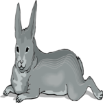 Rabbit 23