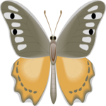 Butterfly 107