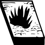 Planter 2