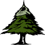 Tree 058
