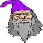 Wizard 26