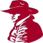 Cowboy 33