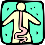 Digestive Tract 1