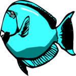 Fish 053
