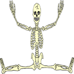 Skeleton 11