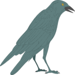 Bird 019