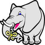 Elephant - Remember