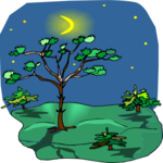 Tree 164
