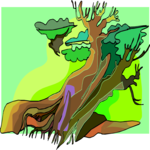 Tree 165