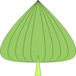 Leaf 008