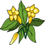 Flower 336