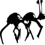Ant 03