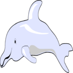 Dolphin 3