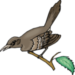 Blackbird 2