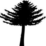 Tree 011