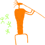 Musician 4