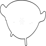 Colander 2