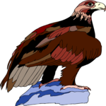 Eagle 71