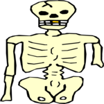 Torso 1