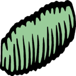 Pasta 12
