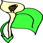 Flower 123