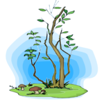 Tree 137