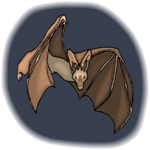 Bat 21