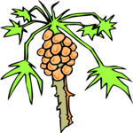 Tree - Tropical 1