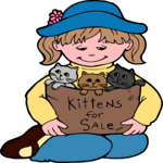 Kittens for Sale