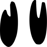 Eyes 20