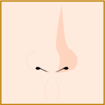 Nose 1