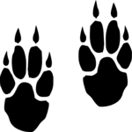 Paw Prints 3