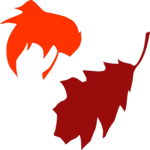 Leaves 49