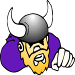 Viking 16