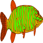 Fish 012