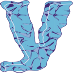 Crinkle Extended Y 2