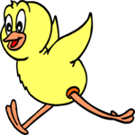 Chick 07
