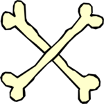 Bones 1